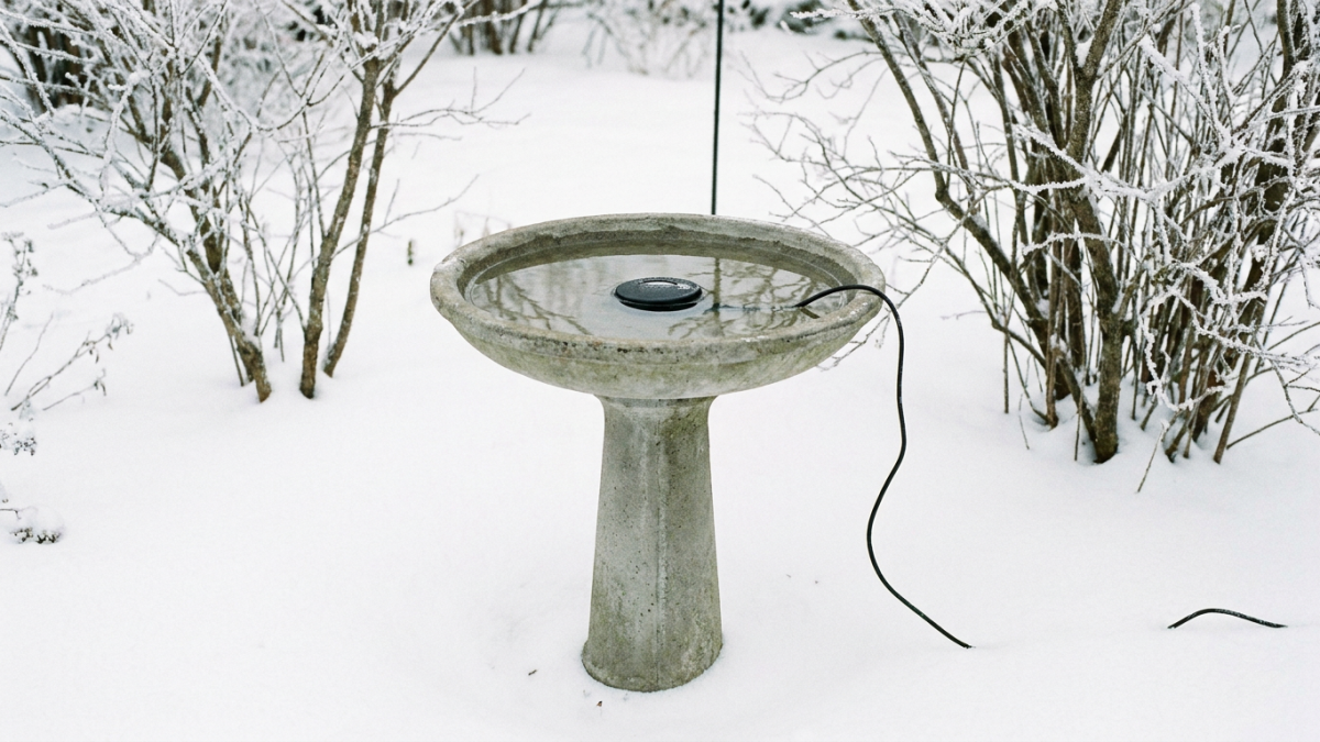 bird bath heater de-icer disc resting in the unfrozen water of a concrete bird bath in a snowy winter garden