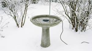 Bird Bath Heaters: De-Icers vs Heated Baths